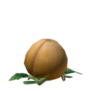 Young Squash