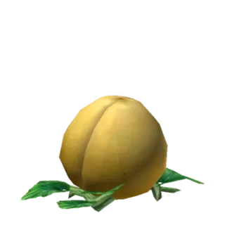 High Quality Squash