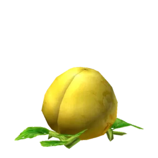 King Squash