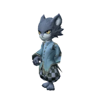 Kai the Cat