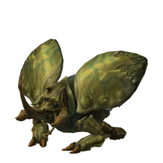 Beetle of Grave