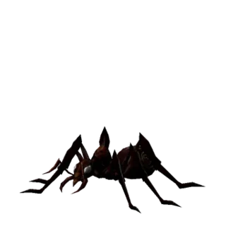 Ant