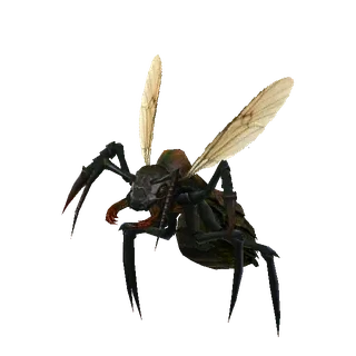 Noble Ant Leader