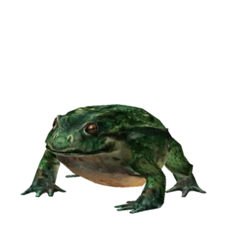 Giant Toad