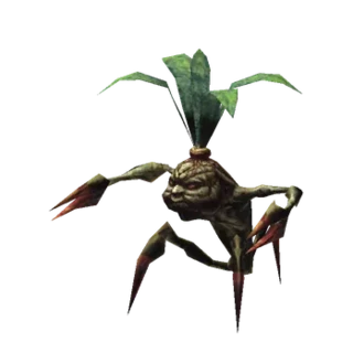Mandragora Sprout