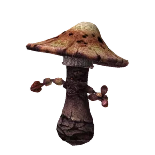 Mountain Fungus