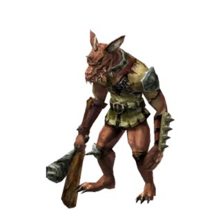 Kobold Looter Bepook