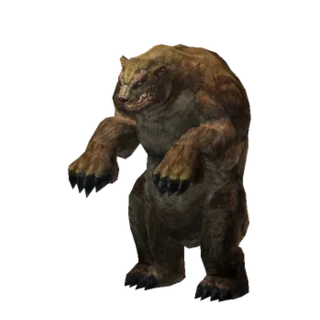 Plain Grizzly