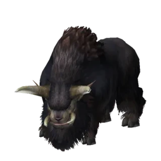 Buffalo