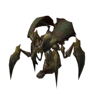 Chakram Beetle