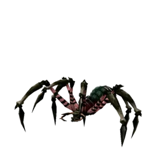 Spelunking Spider