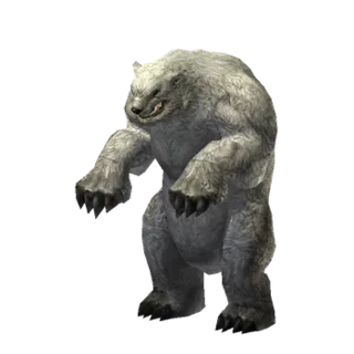 Ursus
