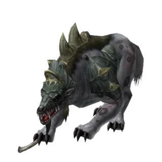 Freya's Dog
