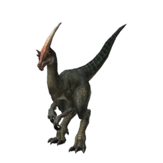 Velociraptor