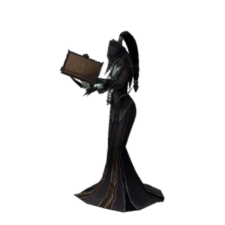 Knight of shadow