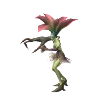 Singing Flower Darkling
