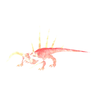 Lava Salamander