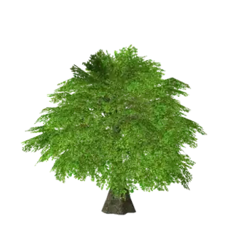 Fairy Tree of Twilight