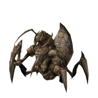 Queen Ant