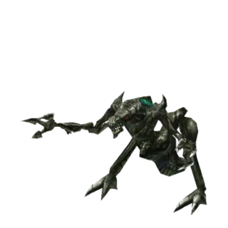 Validus