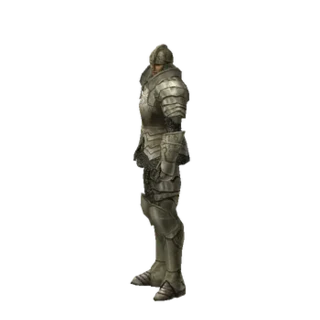 Roien
