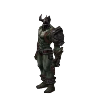Newbie Guide