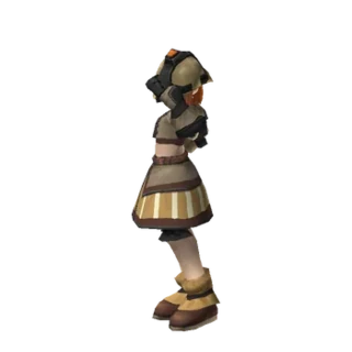 Dani