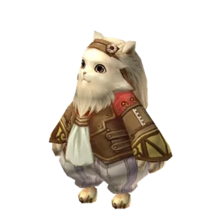 Mr. Cat