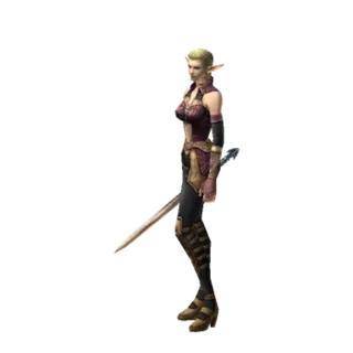 Adventure Guildsman