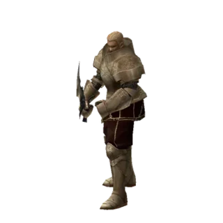 Elite Mercenary Guild Member