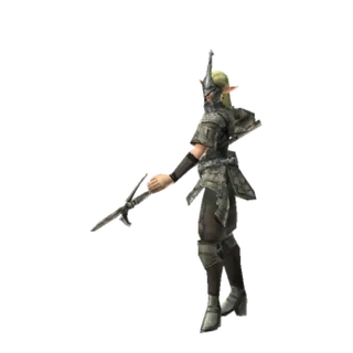 Court Guard